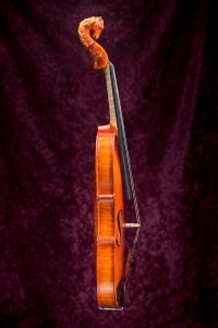 violon-pegase-2005-cote.jpg