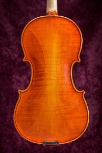 violon-pegase-2005-dos.jpg