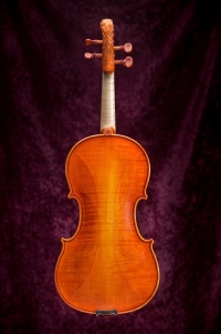 violon-pegase-2005-dos2.jpg