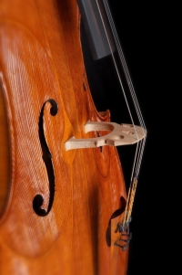 Cello-Ganesh-2007_closeup02.jpg