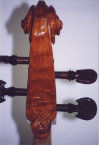 Violoncelle-Lamario-97-TeteDerriere.jpg