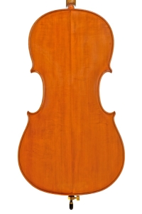 Violoncelle_2008_Derriere.jpg