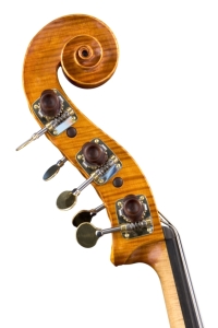 Vitruve_headside2.jpg