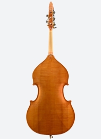 lamario1999-contrebasse_Derriere.jpg