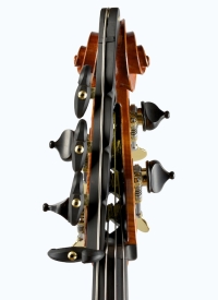 lamario2014-contrebasse_Voluteface.jpg