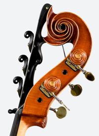 lamario2016-contrebasse-volute2.jpg