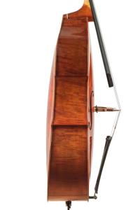 lamario2018-contrebasse-profile2.jpg