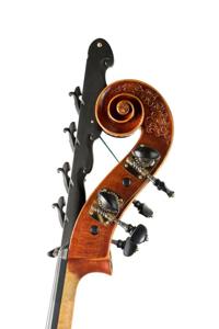 lamario2018-contrebasse-volute2.jpg