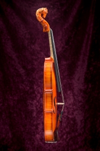 violon-pegase-2005-cote.jpg